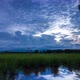Passing Cloud At Twilight  With Overcast Sky Over Rice Field - VideoHive Item for Sale