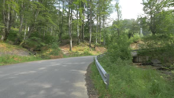 Person longboarding downhill