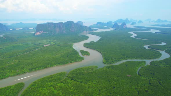 Drones are flying over winding rivers and large mangrove forests