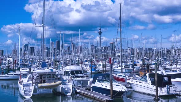 Auckland harbor New Zealand