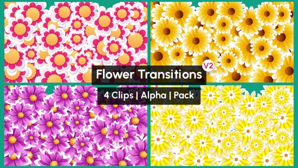 Flowers Transitions Pack v2 - 4 Clips Alpha