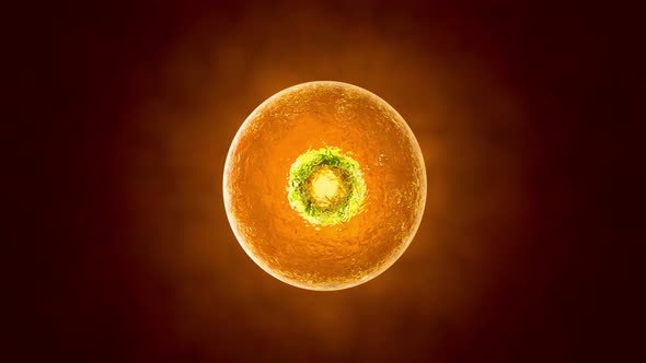3D rendered Animation of a vibrating living cell alt