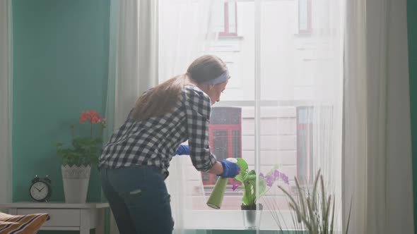 Woman Is Taking Care of Domestic Flowers
