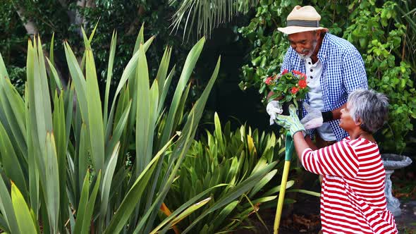 Senior couple looking at the flowering pot plant