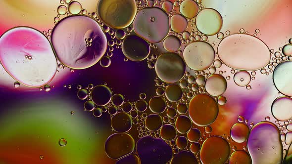 Abstract Colorful Food Oil Drops Bubbles 255 alt