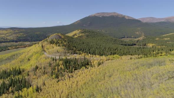 Fall foliage at Boreas Pass, CO