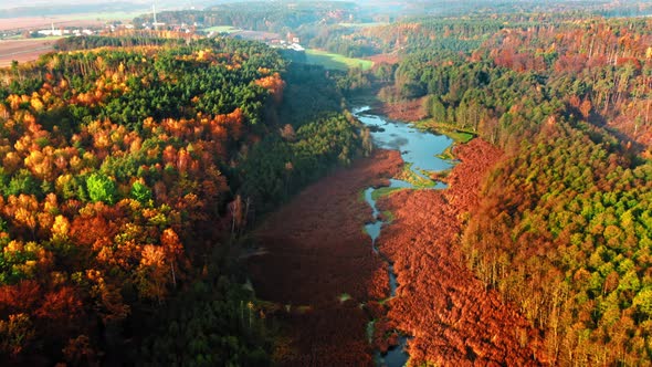 Brown swamps and river in autumn, view from above