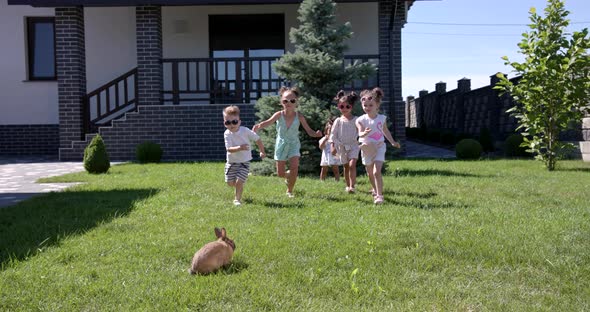 Young Children Run By The Rabbit In The Courtyard Of The House