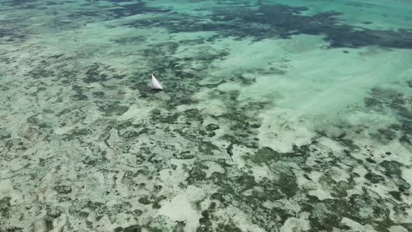 Aerial View of a Boat in the Ocean Near the Coast of Zanzibar Tanzania