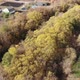 Beautiful Rural Autumn Landscape From a Height in Russia - VideoHive Item for Sale