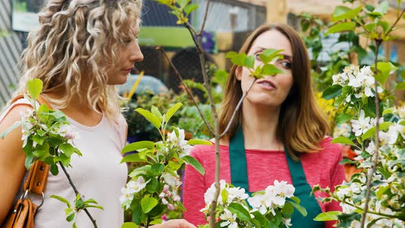 Female florist interacting with a customer