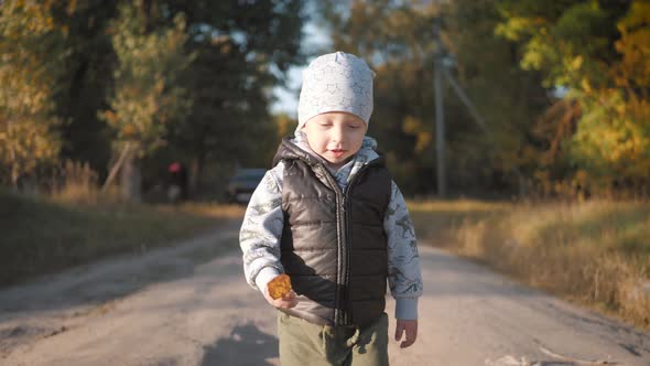 Happy Baby Boy Running in Autumnal Park. Little Child Playing on Autumn Walk. Autumnal Forest with