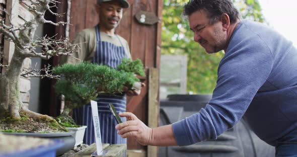 African american male gardener selling plants, using contactless payments at garden center