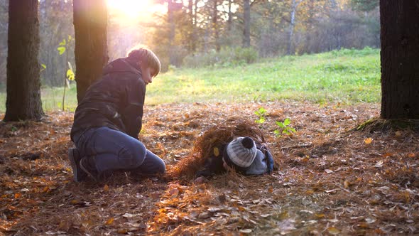 Children Play in the Pine Park, Run Around the Trees, Throw Leaves. The Sun's Rays Penetrate the