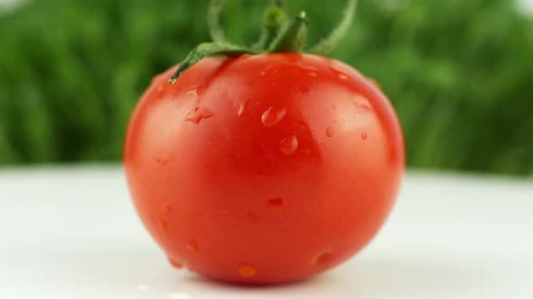 Rotation tomato on a green background. 4K video close-up time-lapse footage of a tomato 360.