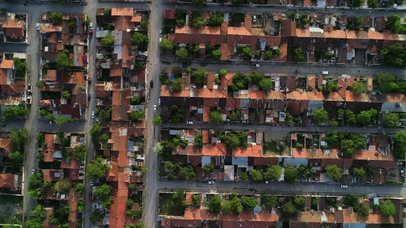 Slum Houses And Trees