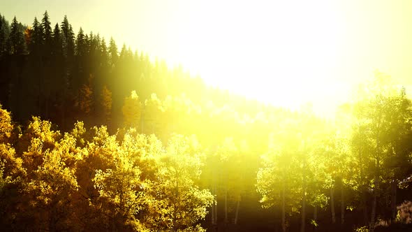 Bright Sunset in the Mountains