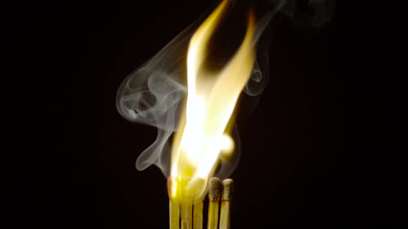 Five matches igniting and burning, Ultra Slow Motion alt