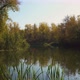 Early Autumn on River - VideoHive Item for Sale