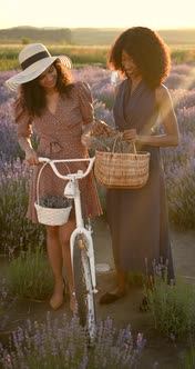 Young Multiracial Women Talkling in Lavender Field on Sunset