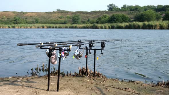 Carp Fishing Rods with Carp Bite Indicators and Reels Set Up on Rod Pod on a Background of Lake or