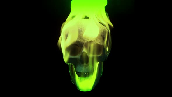 Green Flaming Skull On Black