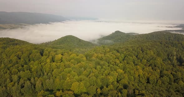 Aerial View To the Foggy Morning Carpathian Forest in Ukraine