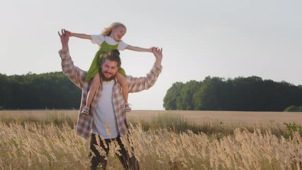 Caring Father Bearded Man Daddy Dad Stands in Wheat Field in Nature Summer Day Holding Little