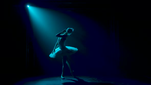 Silhouette of a Graceful Ballerina in a Chic Image of a White Swan. Classical Ballet Choreography