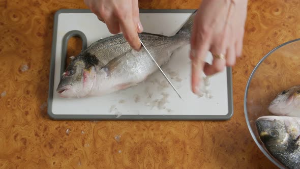 Cleaning Fish From Scales