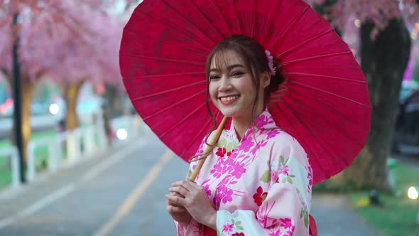 woman in yukata (kimono dress) holding umbrella and looking sakura flower or cherry blossom blooming