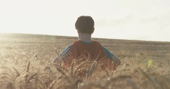 Young boy stands in a golden field during sunset - raising his hands in victory