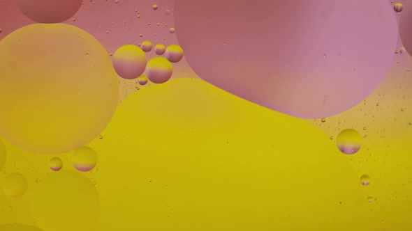 Macro Structure of Colorful Oil Bubbles. Chaotic Motion. Abstract Multicolored Background. Pattern