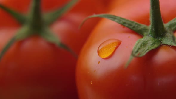 Closeup of a Drop of Water Flowing Down the Wet Surface of Ripe Tomato
