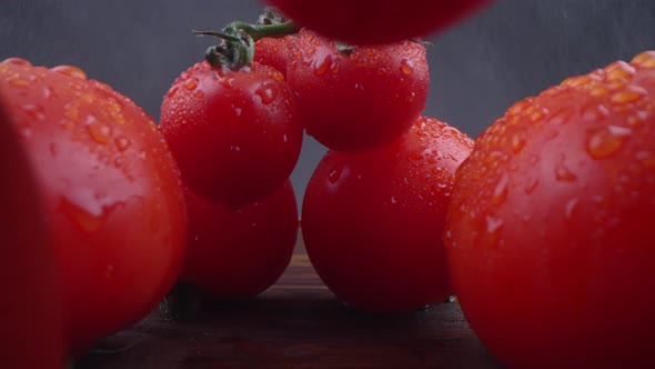 Red Tomatoes Rain