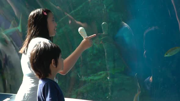 Asian Children Watching The Marine Life In Aquarium