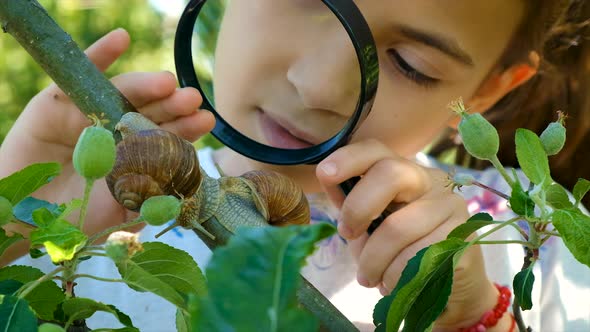 The Child Studies Nature Looks at the Snail