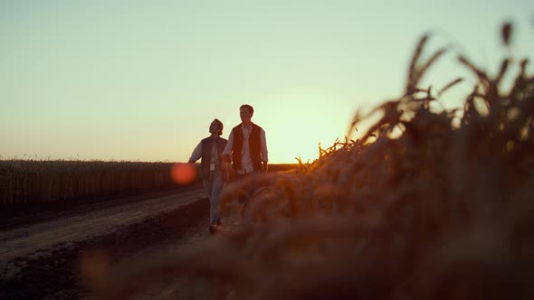 Agronomists Walking Wheat Field in Sunset Together