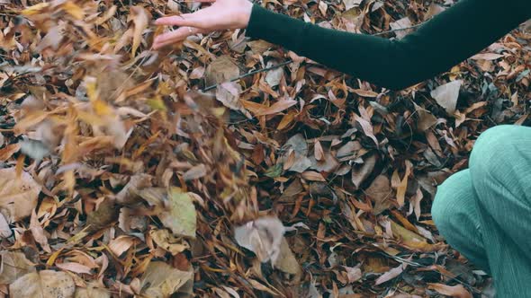 Close up of a female hand throwing dry golden leaves in autumn garden