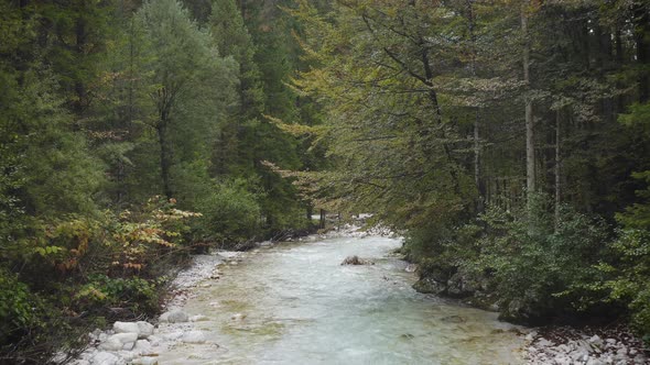 Aerial view of Fast Moving River Surrounded by Forest