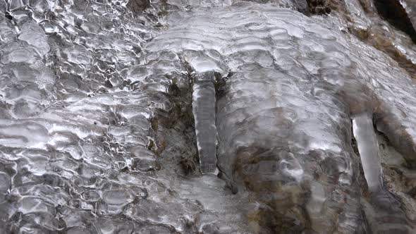 Air Bubbles Flowing Through the Glassy Transparent Ice