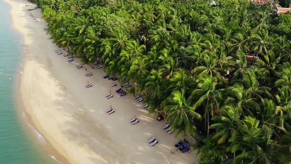 Blue Lagoon and Sandy Beach with Palms