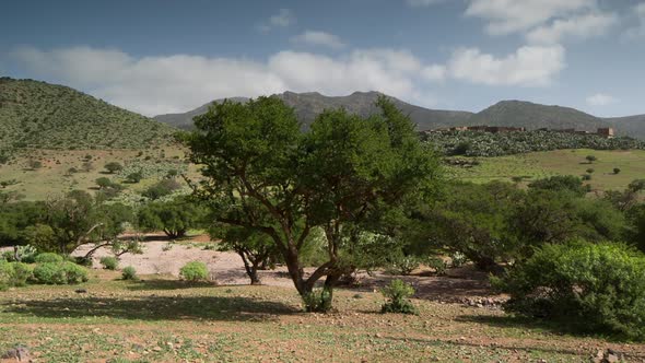 Argan Valley