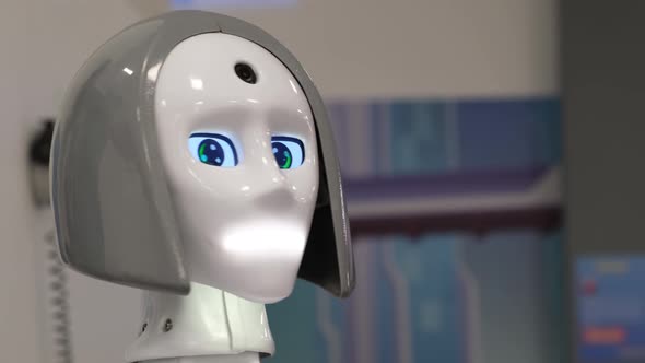 The Face of a Smart Robot Girl