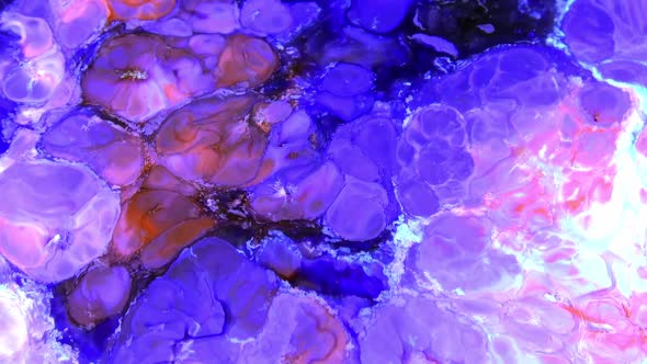 Color Explosion Abstract Art Painting 474 alt