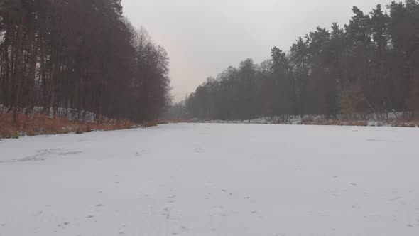 Winter Frozen Lake In Forest