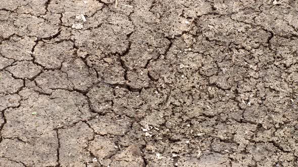 texture, dry and cracked earth, close-up
