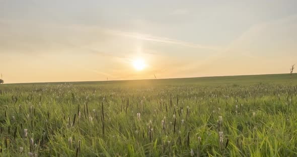 Hill Meadow Timelapse at the Summer or Autumn Time. Wild Endless Nature and Rural Field. Sun Rays