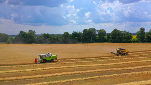 Combine Harvester Agricultural Machine Ride in the Field of Golden Ripe Wheat