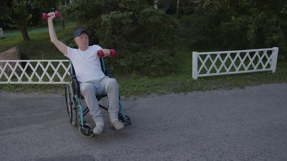 Old Man on Wheelchair Does Exercises with Dumbbells